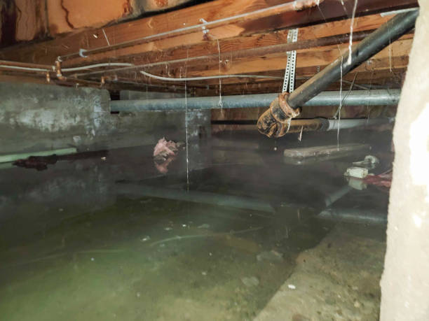 Best Fire Damage Restoration  in Bradford, OH