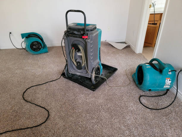 Best Local water damage restoration  in Bradford, OH