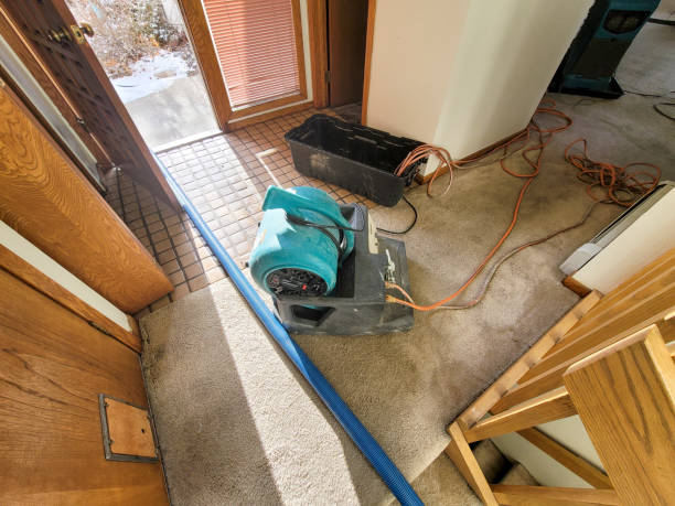 Best Water damage restoration mold remediation  in Bradford, OH