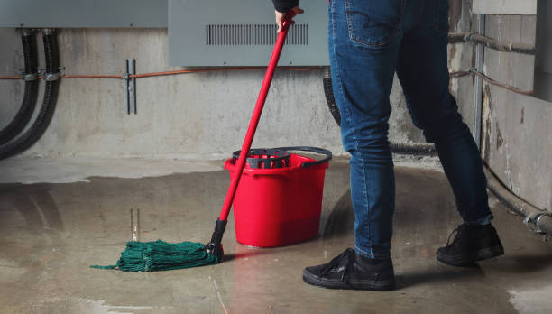 Best Ceiling water damage repair  in Bradford, OH
