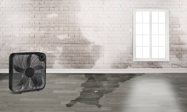 Best Commercial water damage restoration  in Bradford, OH