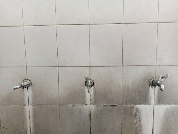 Best Water damage cleanup near me  in Bradford, OH