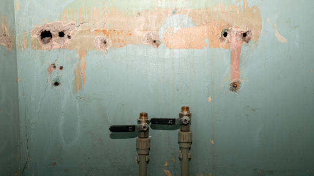 Best Water damage restoration process  in Bradford, OH