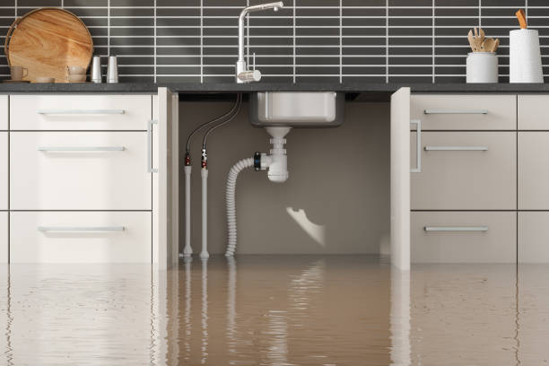Best Mold removal after water damage  in Bradford, OH
