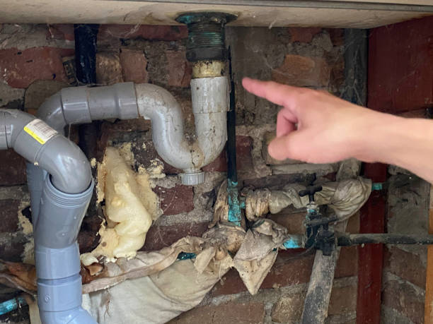 Best Water damage contractors near me  in Bradford, OH