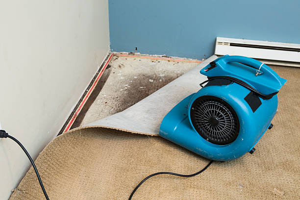 Best Water damage restoration near me  in Bradford, OH
